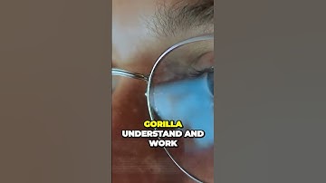 Revolutionary AI Model Gorilla Unleashes Web Browsing and Learning Powers Part 2 #shorts #ai #openai