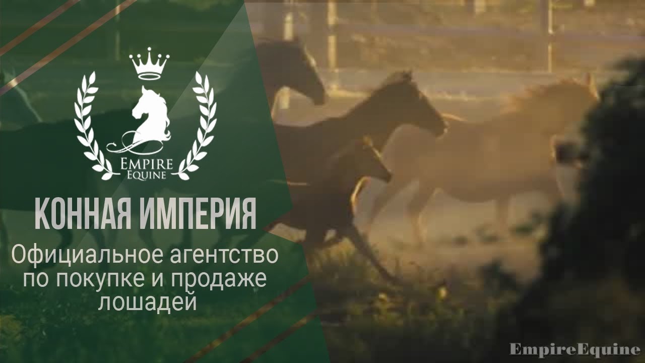 Конная Империя Интернет Магазин