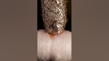 ASMR Glitter pen vs cotton swab close-up macro #shorts #satisfying #closeup #asmr #macro