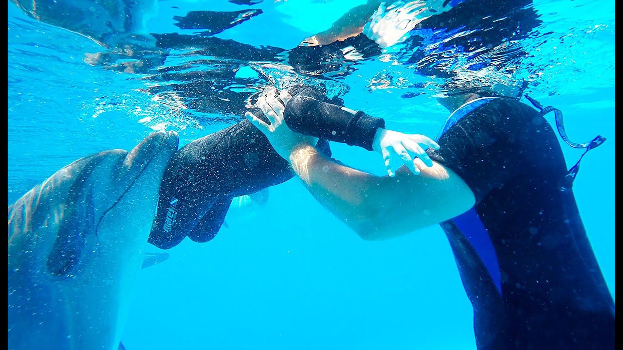 Семейная дельфинотерапия. Dolphin Assisted therapy for famaly.