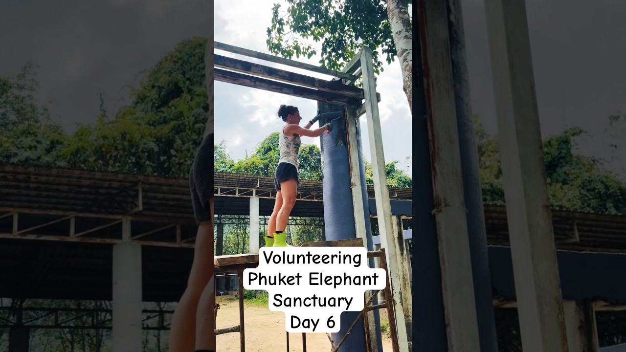 Last Day Phuket Elephant Sanctuary | PES  