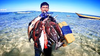 Hunt and get many types of fish, sunu grouper, white spot grouper, etc. || Spearfishing Indonesia