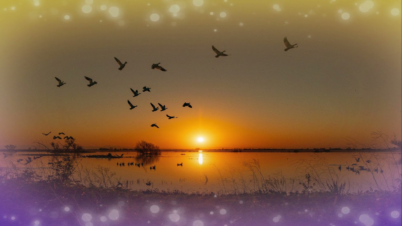 Pinkster Koortjies-My lewe gee ek aan Jesus oor -Sonder bly net sonder