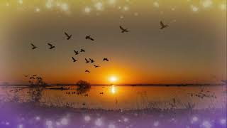 Pinkster Koortjies - My Lewe Gee Ek Aan Jesus Oor - Sonder Bly Net Sonder