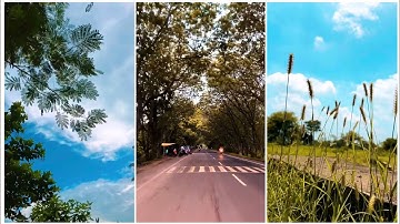 Aesthetic 🌟 Nature Status 💚 | Love Nature Whatsapp Status  | Bol Halke Halke Status 💯 #Shorts