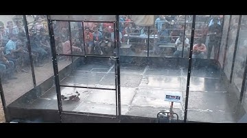 Robowars 15 kg Competition final Round || techkriti23 || Iit Kanpur ||  #robowars #shorts