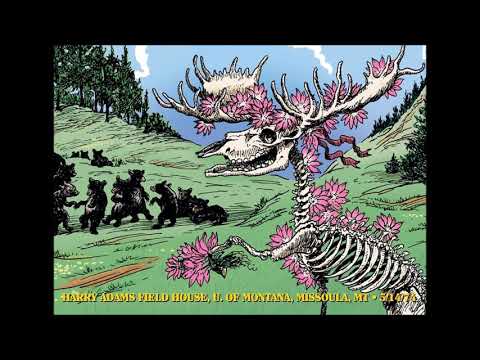 Grateful Dead -