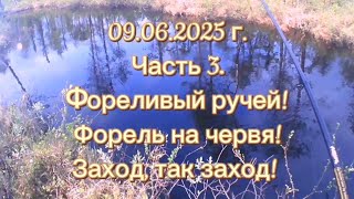 видео: ФОРЕЛЬ. ФОРЕЛИВЫЙ РУЧЕЙ. 09.06.2025Г. ЧАСТЬ 3. #рыбалка #форель #ловляфорели #летняярыбалка #природа картинка: ФОРЕЛЬ. ФОРЕЛИВЫЙ РУЧЕЙ. 09.06.2025Г. ЧАСТЬ 3. #рыбалка #форель #ловляфорели #летняярыбалка #природа