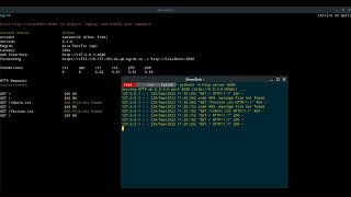share data over wan & port forwarding LAN to WAN python3 http.server with ngrok