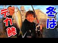 冬はサビキでやたらとデカイ鯵が掛かります【茨城県】