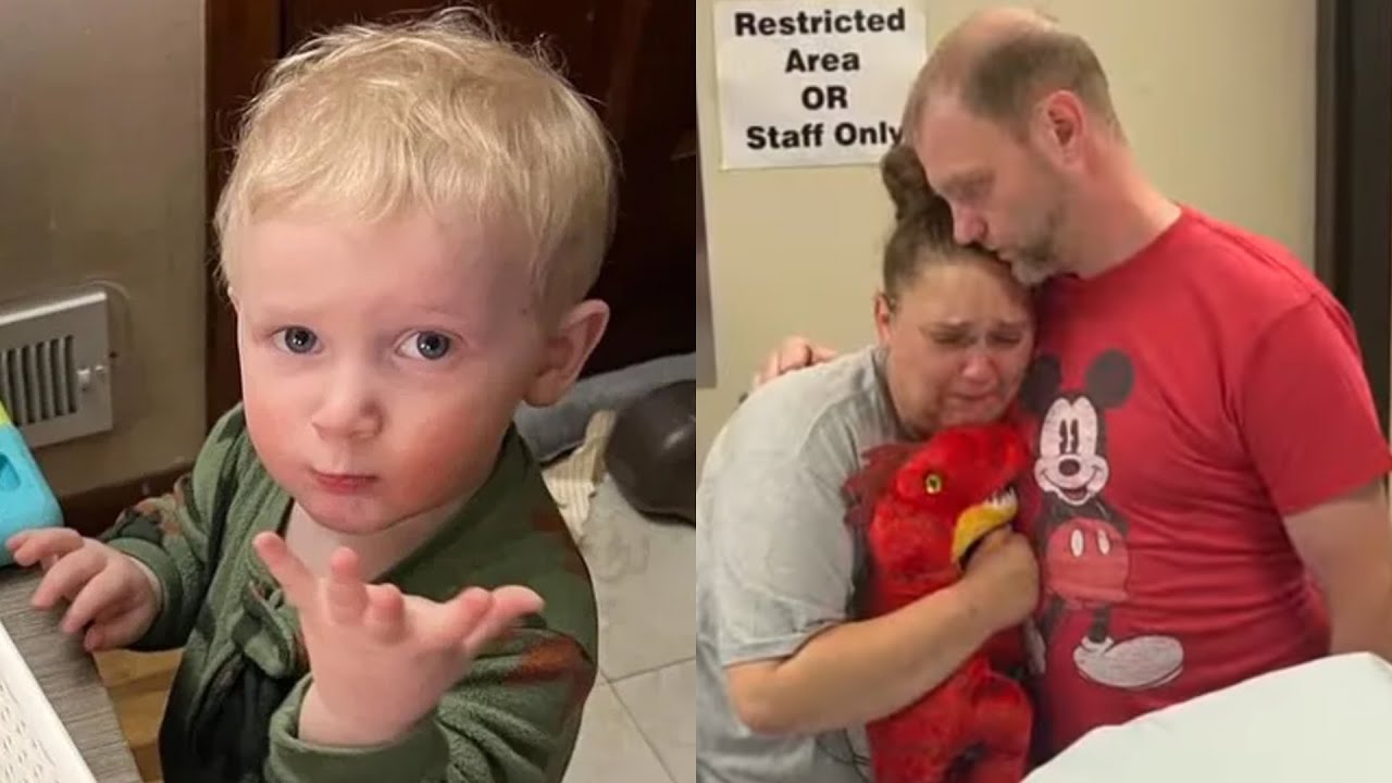 Toddler Attacked by Pit Bulls While Family Visits to Buy Puppy