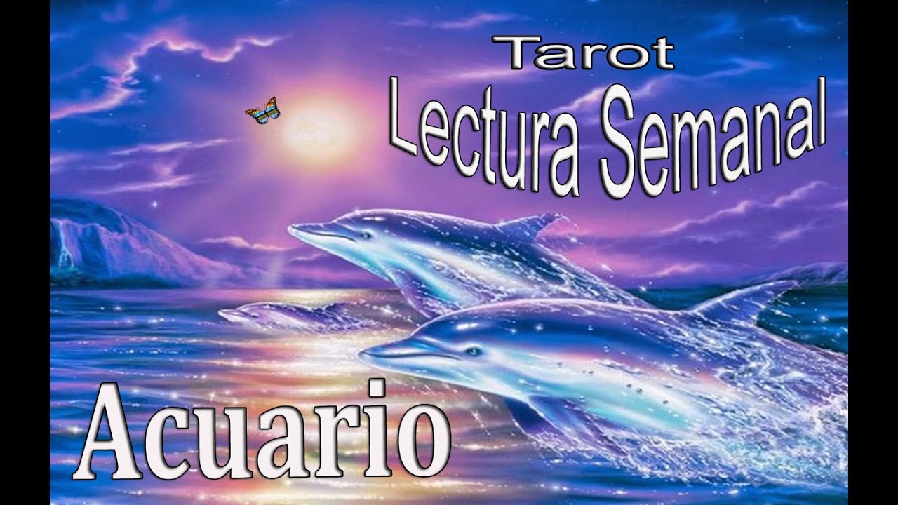 ACUARIO♒ Semana del 13 al 19 de Noviembre 2023 🔮🕯💓 Tarot y Oráculos 🌈🦋⭐ ...