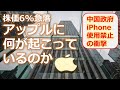【緊急解説！】アップル株急落の背景には何がある？中国による「iPhone制裁」は本当に効き目有るのか？9月以降のアップル株価はどうなる？新型「iPhone15」は売れるのか？
