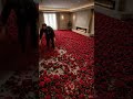 Satisfying living room Epoxy floor transformation  #SHORTS #USA #EPOXY DIY