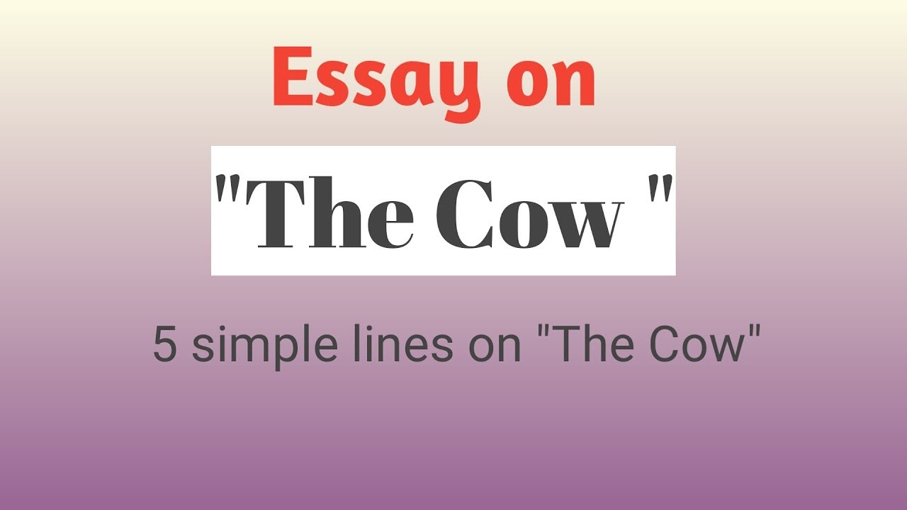 Short essay the cow for small kids youtube