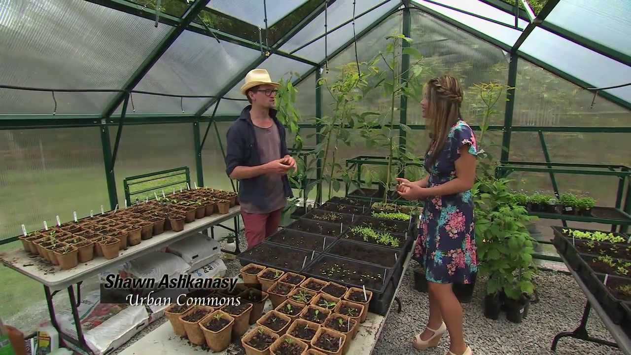 A Greenhouse in the heart of Melbourne Coxy's Big Break YouTube