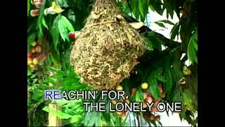 AVSEQ12 Meet Me Halfway - Kenny Loggins (Edited Version)