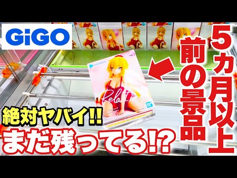 【クレーンゲーム】これは絶対にヤバイ！？GIGOに5ヵ月以上前の景品が残ってたので挑戦してみた！ホロライブ 赤井はあと 鬼滅の刃 甘露寺蜜璃 推しの子 有馬かな 超絶最かわてんしちゃん