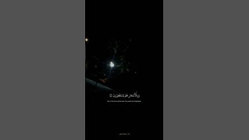القارئ حاشد الذيب #المصحف #السعوديه #اكسبلور #song #love #الرحمن #funny
