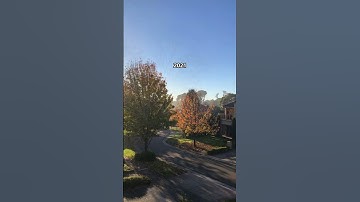 Which year do you choose? 🥹 #shorts #nostalgia #vibes