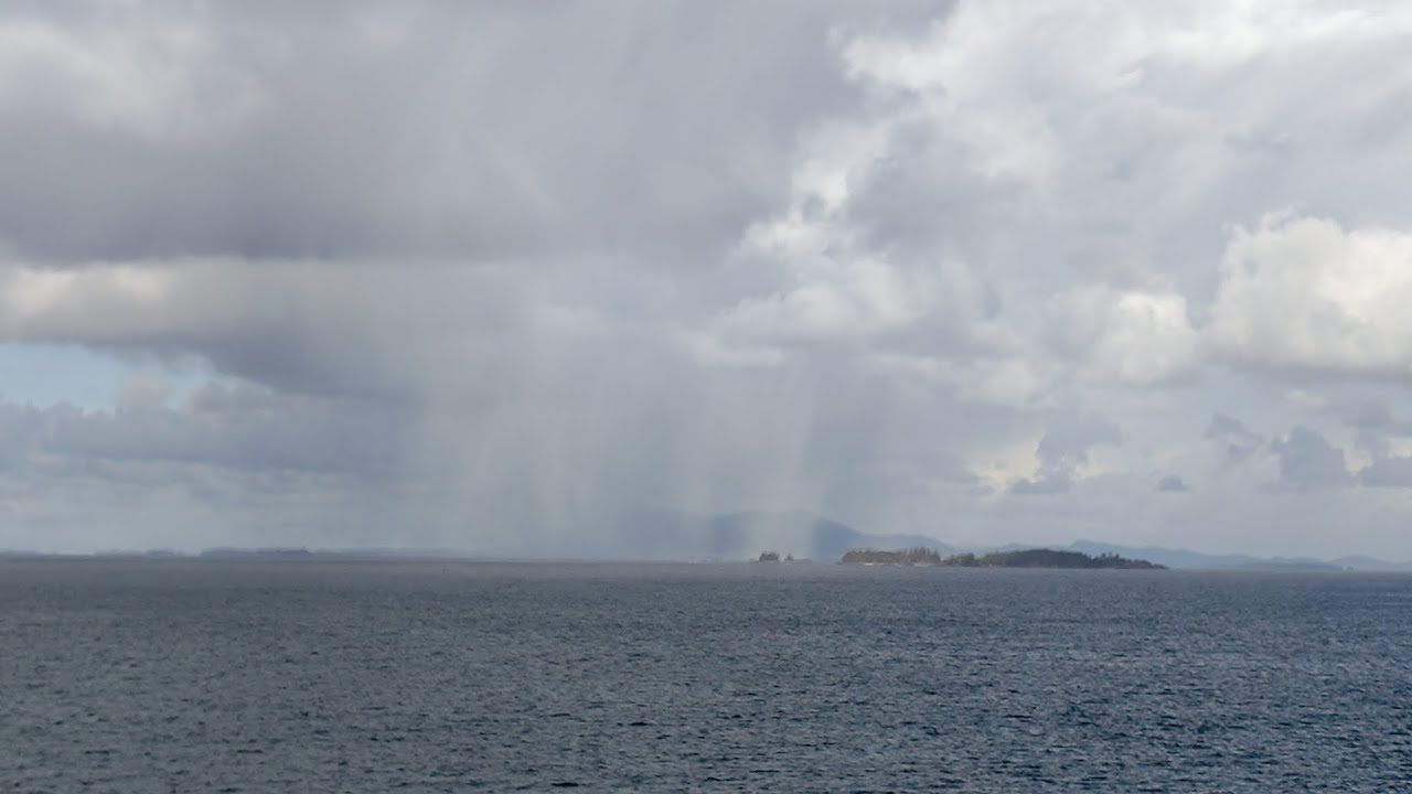 Unexpected snowstorm! #expectationsvsreality #winterwonderland #brrr