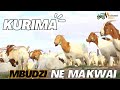 Kurima Mbudzi NeMakwai Nzira YePundutso Inobva Mukushanda Nenjere Kurima Mbudzi NeMakwai Nzira YePundutso Inobva Mukushanda Nenjere