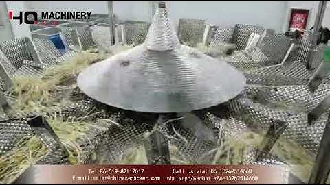 automatic packaging machine for Bean sprouts with weigher|YQ machinery particle packing system