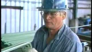 Inspection Criteria