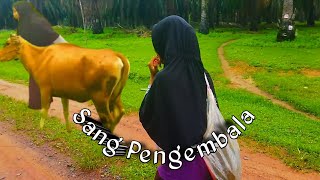 Download lagu Sang pengembala