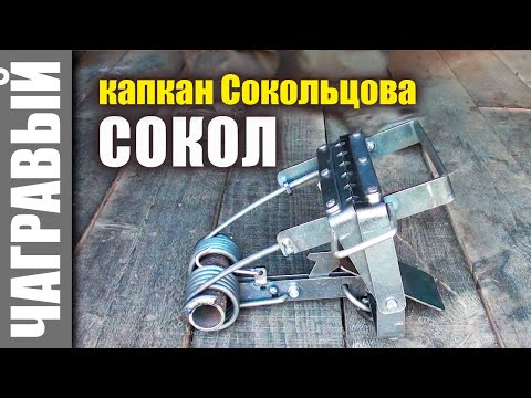 Капкан Сокольцова - СОКОЛ | новинка СУАС