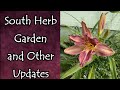 South Herb Garden and Other Garden Updates