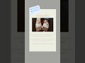 red string theory #shirts #short video