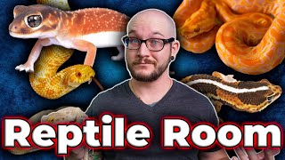 My Secret Reptile Room Tour! Dozens of Baby Reptiles and Rare Species!