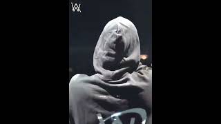 Download Mp3 AlanWalker - Not You - Festival #shorts #alanwalkermusic Gudang lagu Download Mp3 AlanWalker - Not You - Festival #shorts #alanwalkermusic