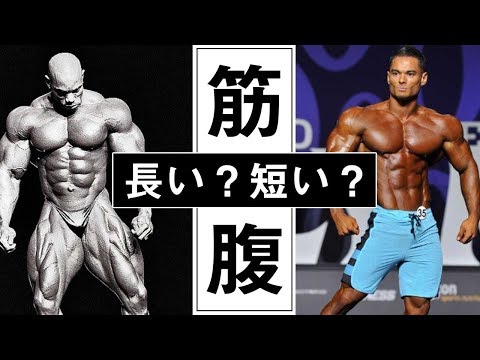 ボディビル外科医が医学的見地から教える「効かせる」筋トレインテリジェントマッスル ボディビル外科医が医学的見地から教える「効かせる」筋トレ