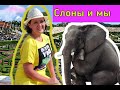 Мы в Тайланде. Катаемся на слонах. Парк в ПАТТАЙЕ.
