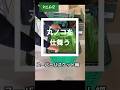丸ノコを仕舞うスーパーバスケット編