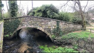 PONTE BAXOI (Miño, febrero 2022)