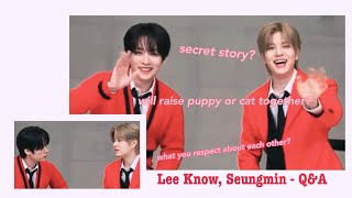 Lee Know and Seungmin being domestic couple - Q&A [Eng sub]