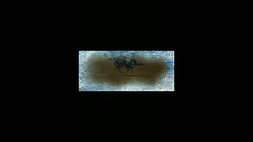 حسين كلاله توكل طبها جسام لمشجل بدون حقوق 