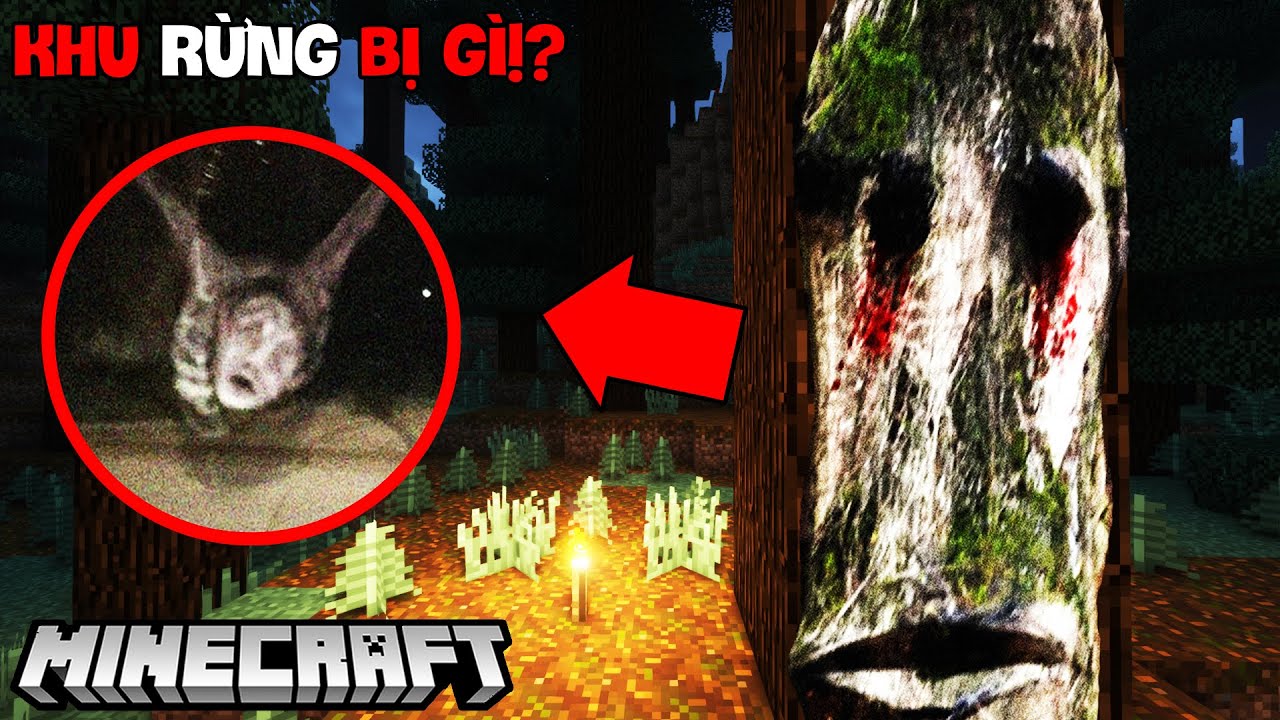 KHU RỪNG MINECRAFT NGÀY CÀNG TRỞ NÊN BẤT THƯỜNG VÀ ĐÁNG SỢ CÙNG VỚI BÍ ...