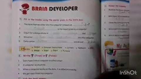 Class 2 Computer  How Does a computer work