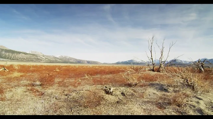 Deadly Heat Waves Will Likely Get Worse