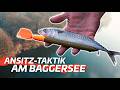 BAGGERSEE mit Deadbait – So findest du die besten Stellen