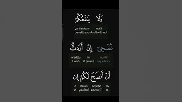 تلاوة خاشعة من سورة هود الآية 34 🌿 | وعد الله الحق وهلاك القوم الظالمين بصوت مؤثر