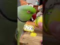アタスのとっても深い愛❤️ #ワカケホンセイインコ #インコ