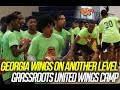 Georgia wings on another level  grassroots united wings camp