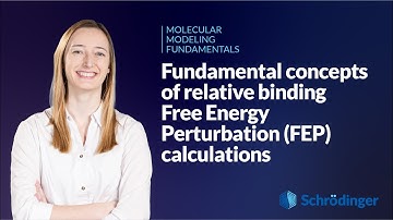 Fundamental concepts of relative binding Free Energy Perturbation (FEP) calculations
