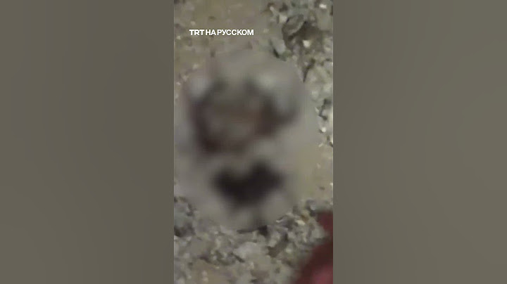 Израиль атаковал жилой дом в Дейр-эль-Балахе