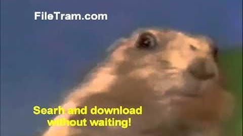 Filetram: Download files without waiting (badger edition)